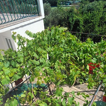 Apartment Jo Дубровник Екстер'єр фото